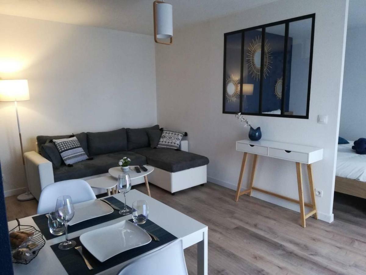 Appartement Cosy Proche Meteo France Et Airbus Toulouse Ngoại thất bức ảnh