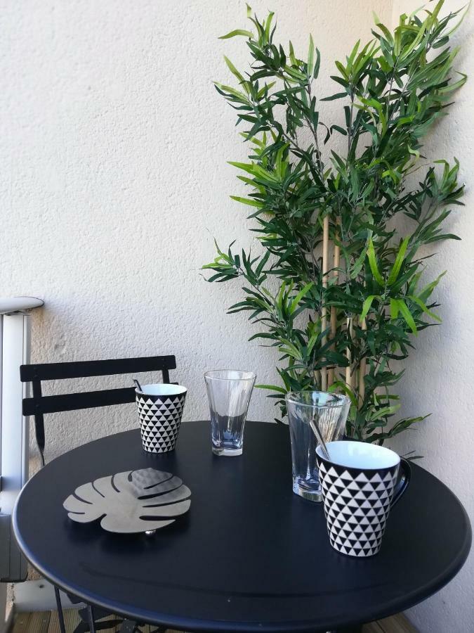 Appartement Cosy Proche Meteo France Et Airbus Toulouse Ngoại thất bức ảnh